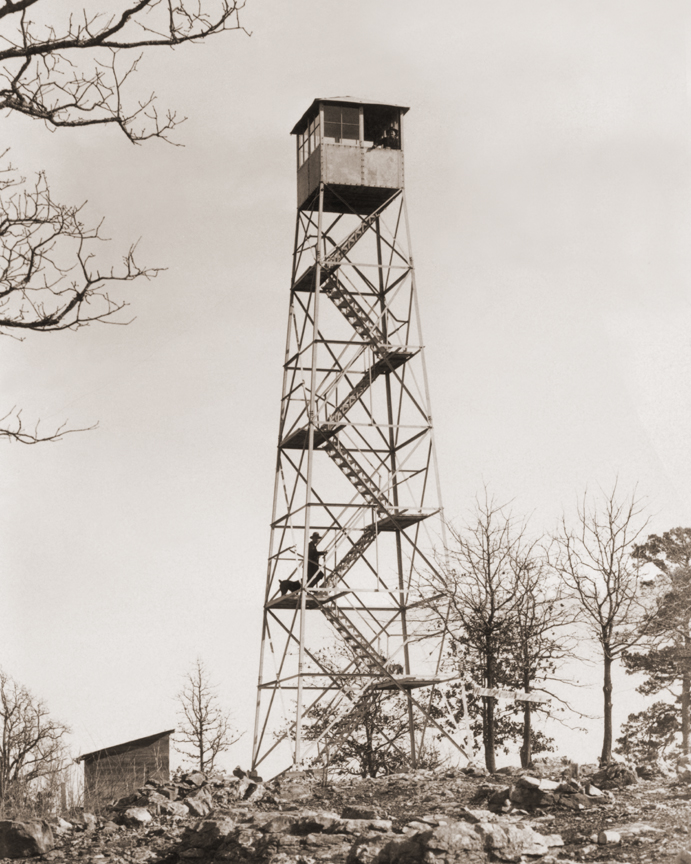 Carter Mtn Tower